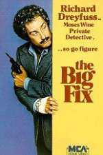 Watch The Big Fix Movie2k