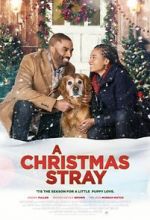 Watch A Christmas Stray Movie2k