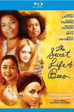 Watch The Secret Life of Bees Movie2k