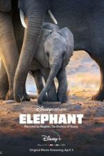 Watch Elephant Movie2k