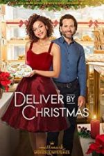 Watch Deliver by Christmas Movie2k