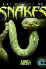 Watch The Beauty of Snakes Movie2k