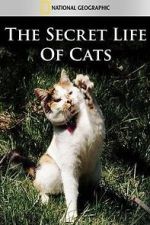 Watch The Secret Life of Cats Movie2k