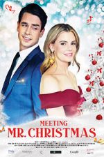 Watch Meeting Mr. Christmas Movie2k