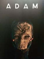 Watch Adam Movie2k