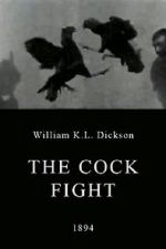 Watch The Cock Fight Movie2k