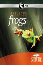 Watch Nature: Fabulous Frogs Movie2k