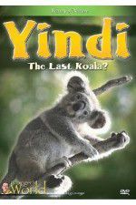 Watch Yindi the Last Koala Movie2k