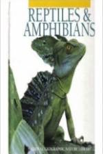 Watch Reptiles and Amphibians Movie2k