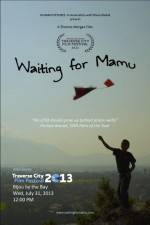 Watch Waiting for Mamu Movie2k