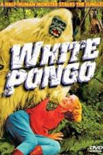 Watch White Pongo Movie2k