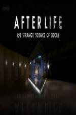 Watch After Life: The strange Science Of Decay Movie2k