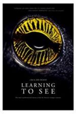 Watch Learning to See: The World of Insects Movie2k