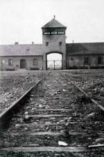 Watch AUSCHWITZ: FRENZIED KILLING Movie2k