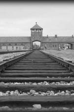 Watch AUSCHWITZ: ORDERS AND INITIATIVES Movie2k