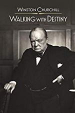 Watch Winston Churchill: Walking with Destiny Movie2k