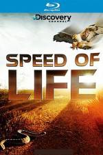 Watch Speed of Life Movie2k