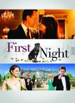 Watch 1st Night Movie2k