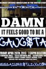 Watch AIW Damn It Feels Good To Be A Gangsta Movie2k