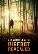 Watch A Flash of Beauty: Bigfoot Revealed Movie2k