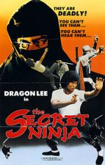 Watch Secret Ninja Movie2k