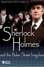 Watch Sherlock Holmes and the Baker Street Irregulars Movie2k