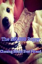 Watch The 60,000 Puppy: Cloning Man's Best Friend Movie2k