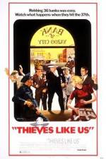 Watch Thieves Like Us Movie2k