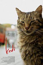 Watch Kedi Movie2k