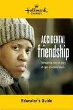 Watch Accidental Friendship Movie2k