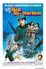 Watch Hell Up in Harlem Movie2k