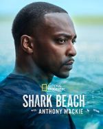 Watch Shark Beach with Anthony Mackie Movie2k