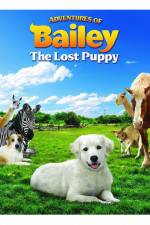 Watch Adventures of Bailey The Lost Puppy Movie2k