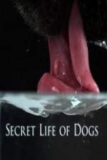 Watch Secret Life of Dog Movie2k