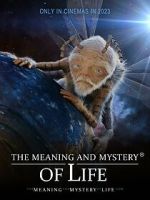 Watch The Meaning and Mystery of Life Movie2k