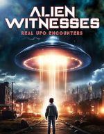 Watch Alien Witnesses: Real UFO Encounters Movie2k