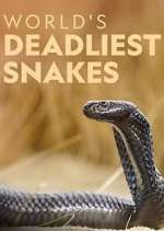 Watch World's Deadliest Snakes Movie2k