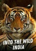 Watch Into the Wild India Movie2k