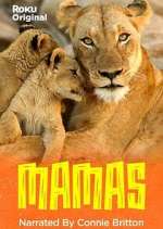 Watch Mamas Movie2k