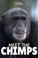 Watch Meet the Chimps Movie2k