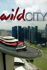 Watch Wild City Movie2k