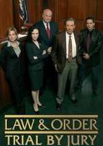 Watch Law & Order: Trial by Jury Movie2k