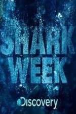 Watch Shark Week Movie2k