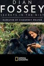 Watch Dian Fossey: Secrets in the Mist Movie2k