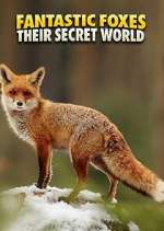 Watch Fantastic Foxes: Their Secret World Movie2k