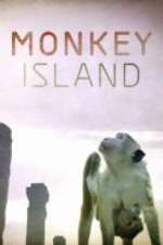 Watch Monkey Island Movie2k