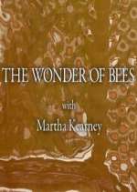 Watch The Wonder of Bees with Martha Kearney Movie2k