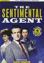 Watch The Sentimental Agent Movie2k