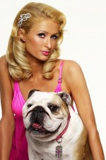 Watch Paris Hilton's British Best Friend Movie2k