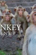 Watch Monkey Planet Movie2k